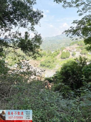大湖林地-6