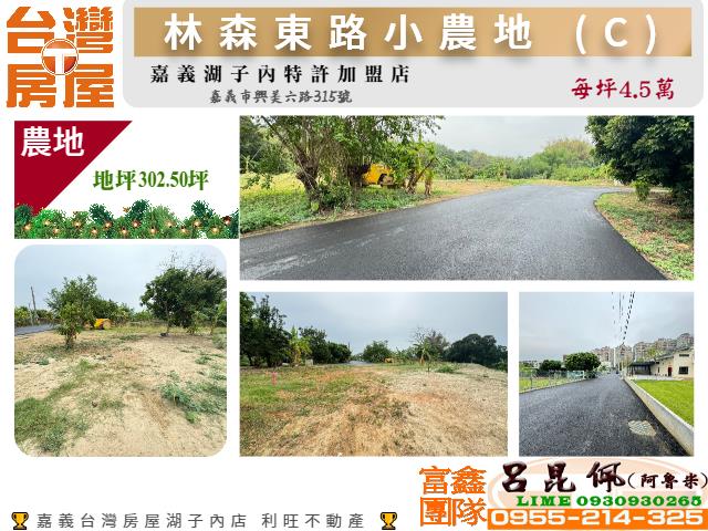 東區農地-1