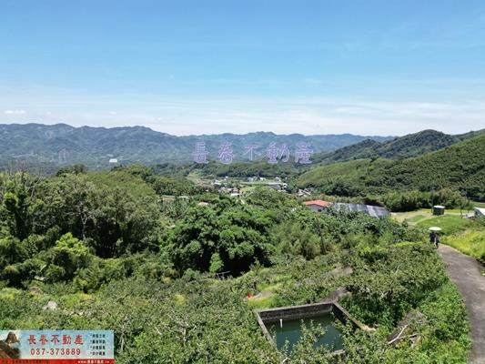 苗栗農地-3