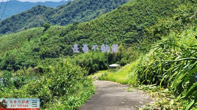 苗栗農地-4