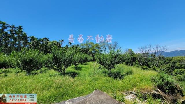 苗栗農地-6