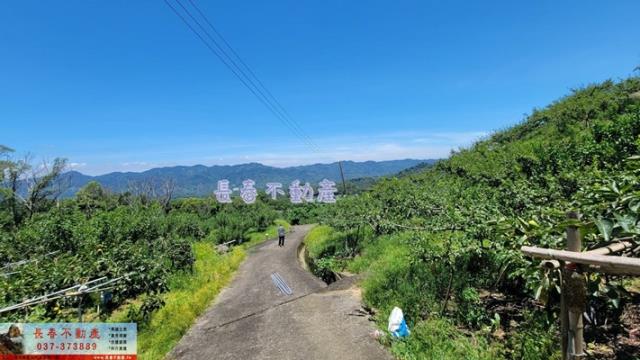 苗栗農地-8