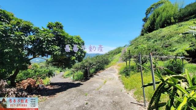 苗栗農地-9