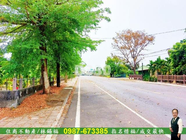 屏東新埤農地-12