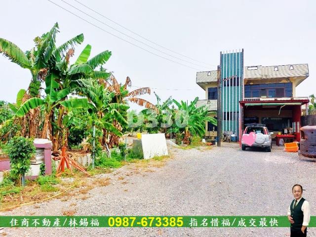 屏東新埤農地-1