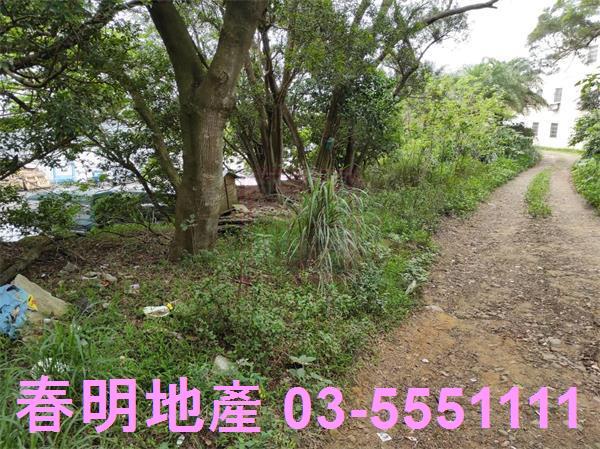 新竹農地-10