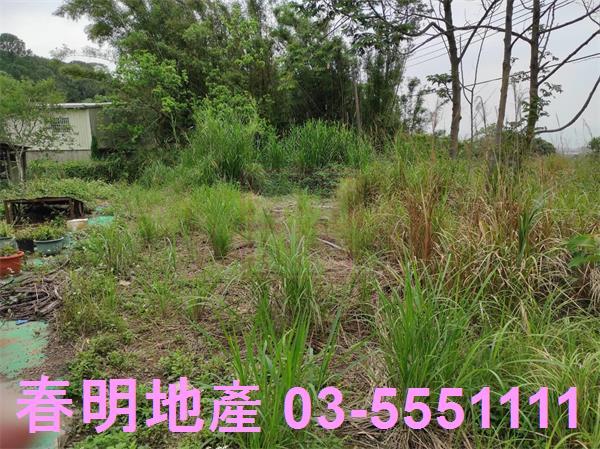 新竹農地-11