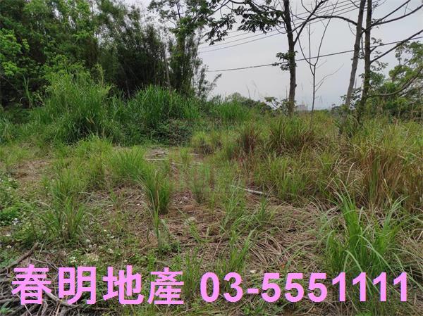 新竹農地-14