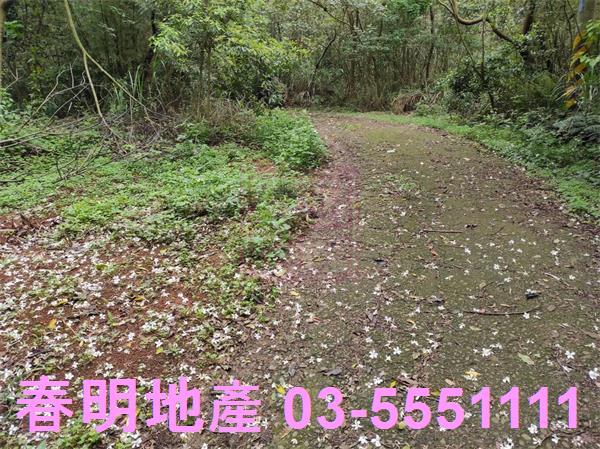 新竹農地-3