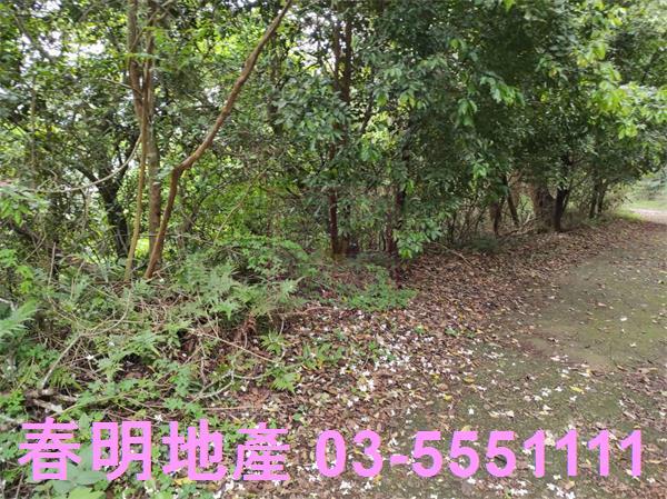 新竹農地-4