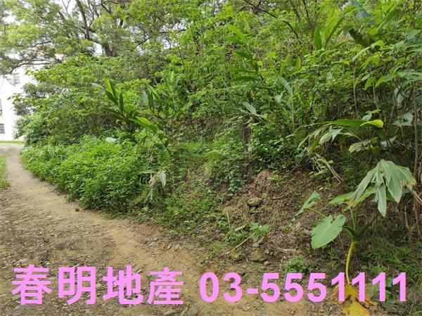 新竹農地-5