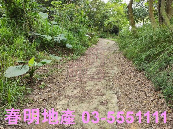 新竹農地-6