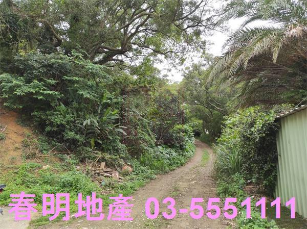 新竹農地-8