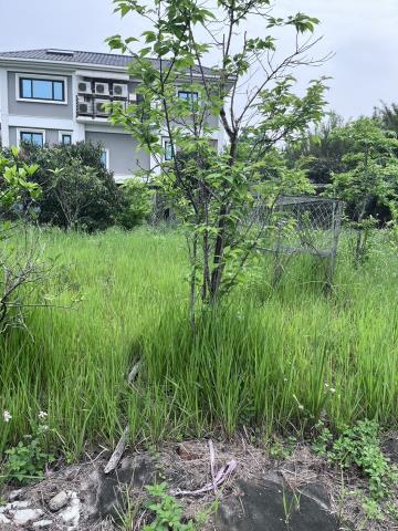 龍潭窯業用地-4