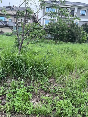 龍潭窯業用地-5