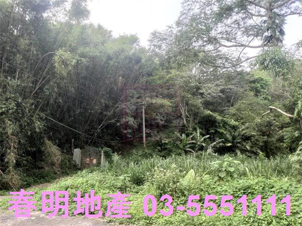 北埔農地-2