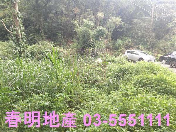 北埔農地-5