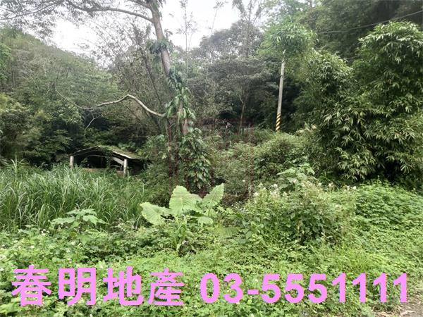 北埔農地-7