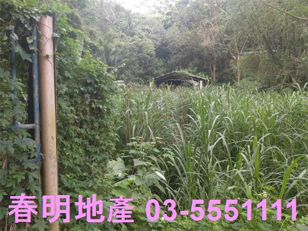 北埔農地-8