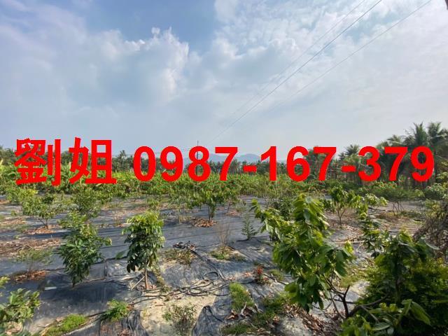 高雄旗山農地-1