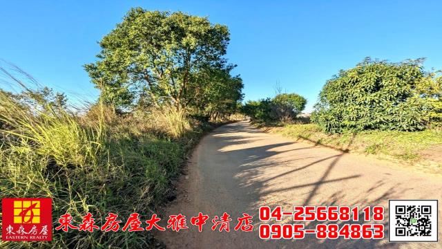 台中大雅農地-8