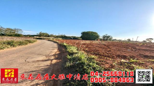 台中大雅農地-9