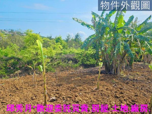 新北農地-5