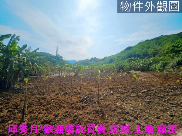 新北農地-6