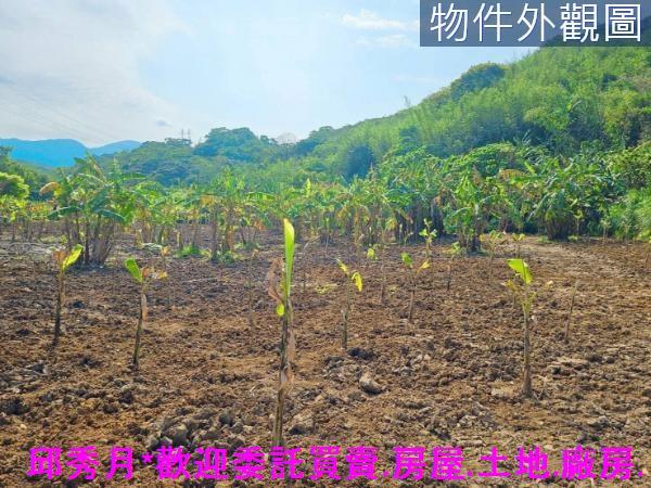新北農地-7