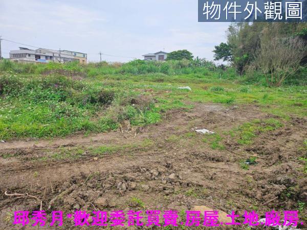 新北農地-2