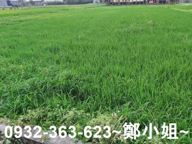 桃園農地-2