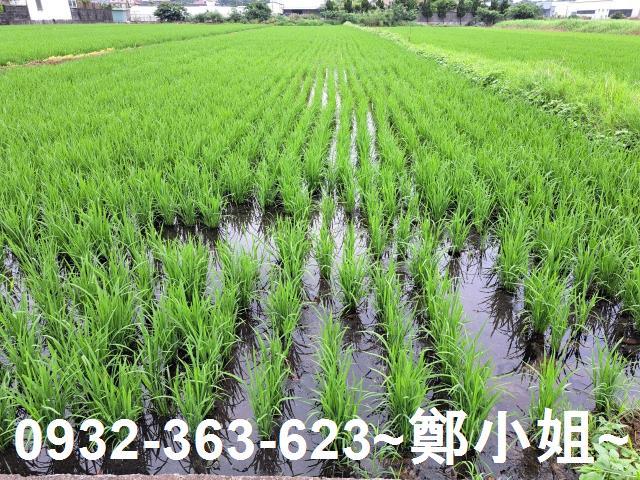 桃園農地-7