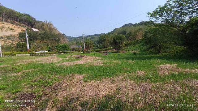 苗栗通霄農地-3