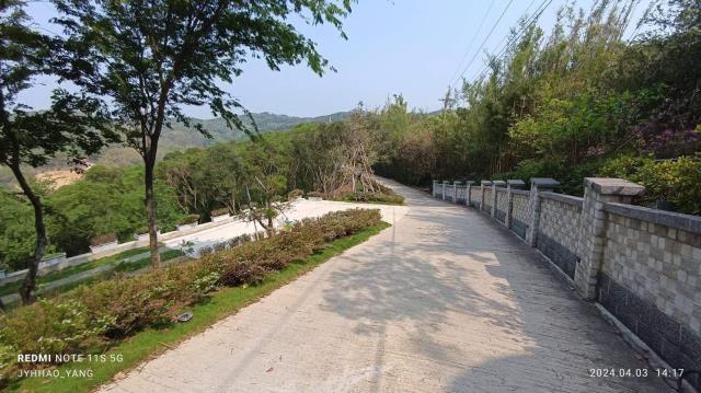 苗栗通霄農地-6