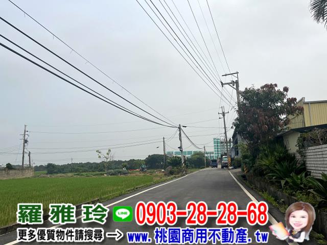 桃園新屋農地-4