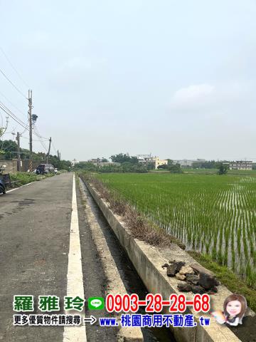 桃園新屋農地-6