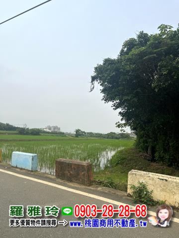 桃園新屋農地-7