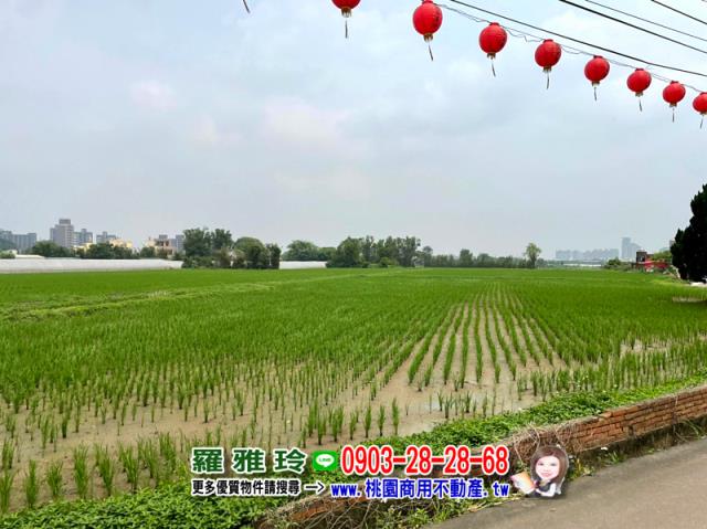 桃園八德農地-1