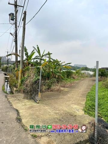 桃園八德農地-2