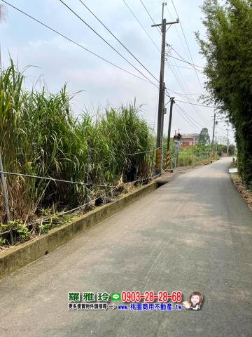 桃園八德農地-3