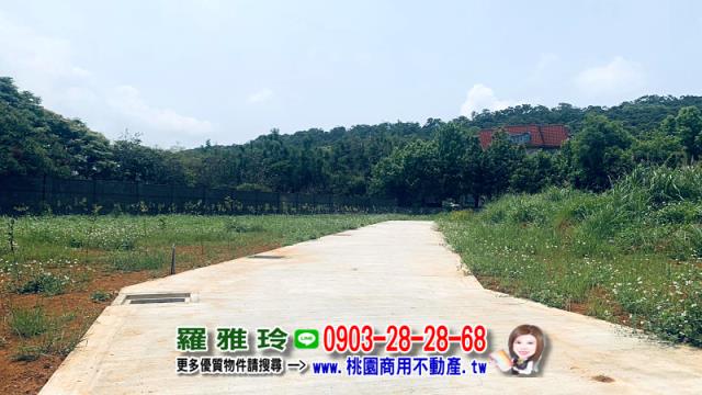 桃園平鎮農地-10