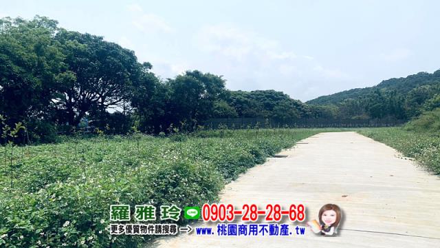 桃園平鎮農地-12