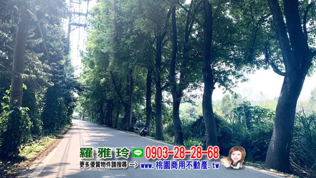桃園平鎮農地-1