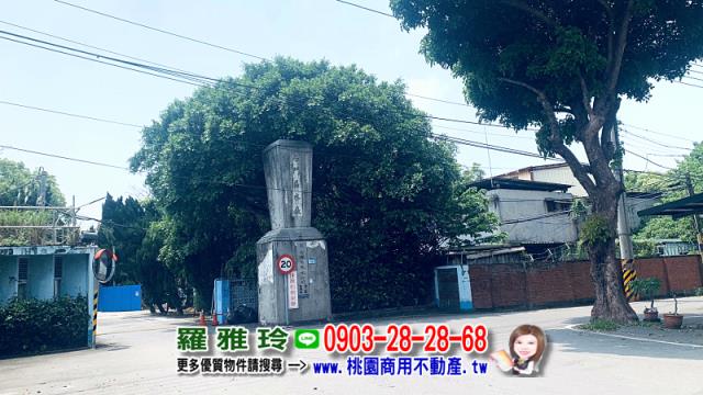 桃園平鎮農地-2