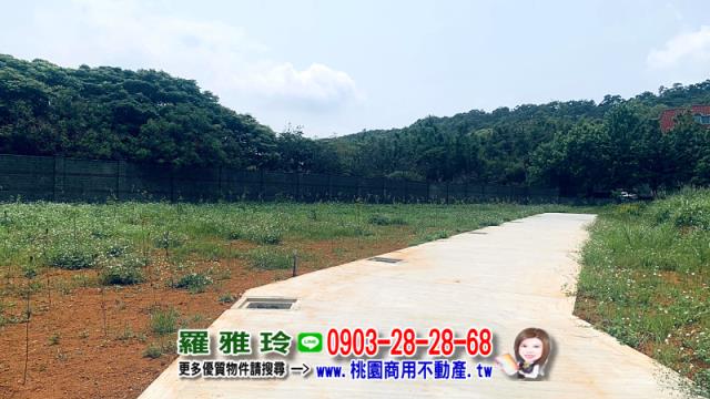 桃園平鎮農地-4