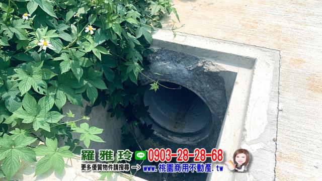 桃園平鎮農地-6
