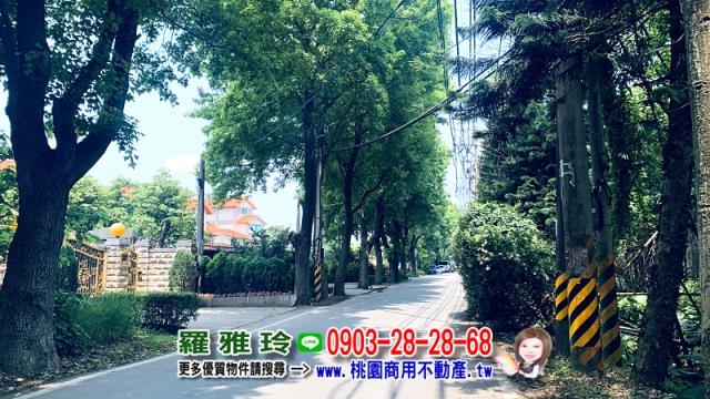 桃園平鎮農地-7
