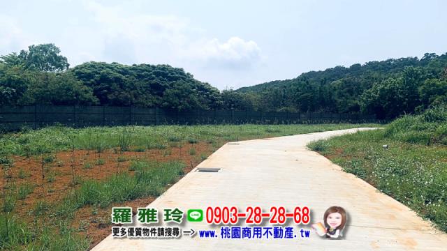 桃園平鎮農地-8