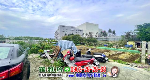 桃園大園工業地-2