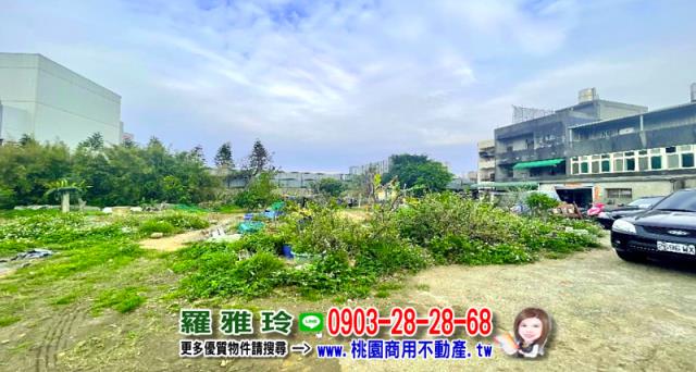 桃園大園工業地-3